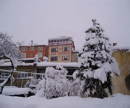 Hotel Bay Nihat Lale *